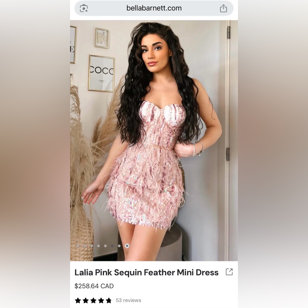 Lalia Pink Sequin Feather Mini Dress